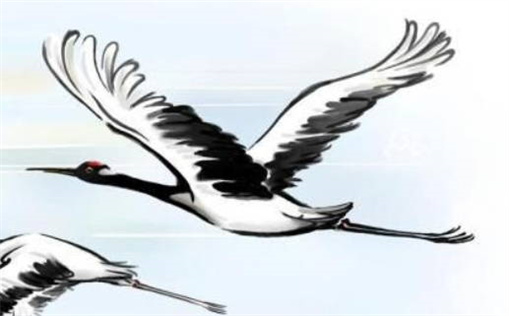 2024年1月22日出生的属兔女孩是什么命,男孩八字命运分析